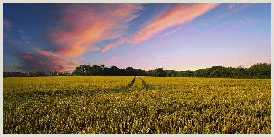 Download Home www.fnbezbanking.com